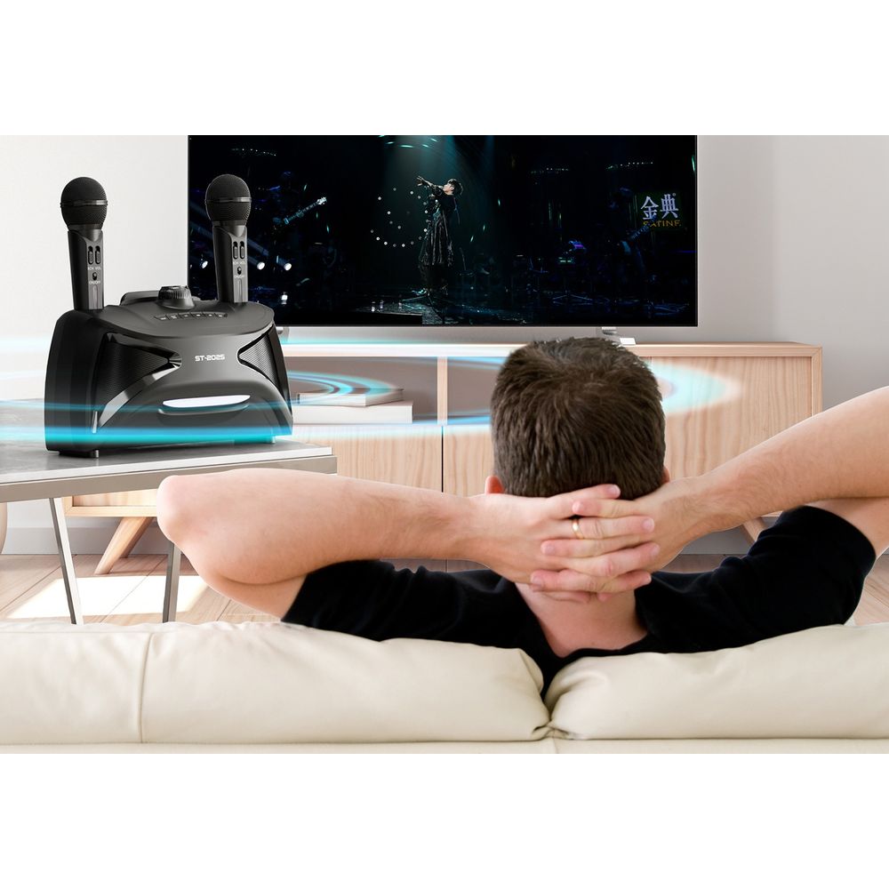 Karaoke TV Microphone Subwoofer Speaker 3