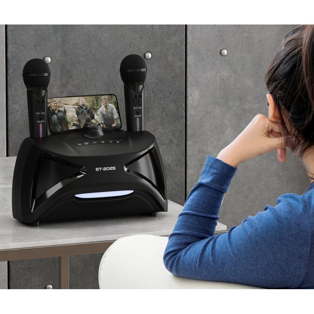 Karaoke TV Microphone Subwoofer Speaker 5