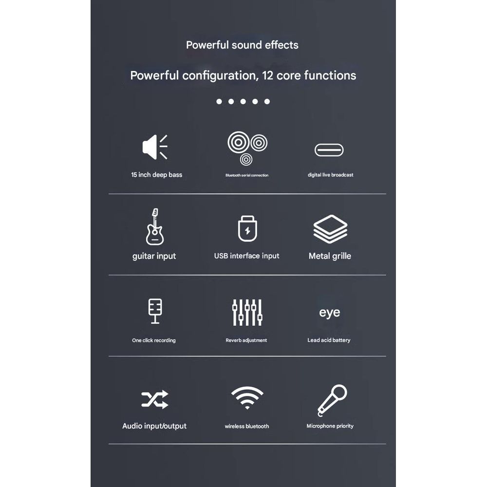 Outdoor High-Power PA Speaker with Mic & Wheels 3