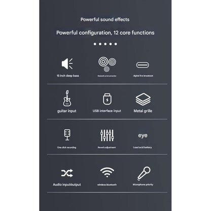 Outdoor High-Power PA Speaker with Mic & Wheels 3