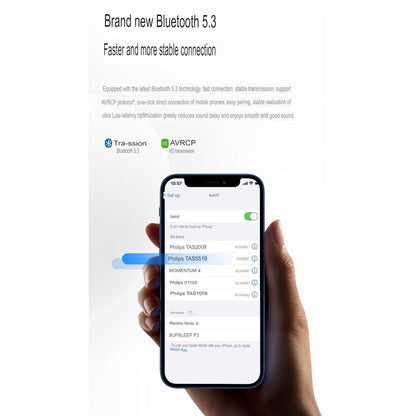 Philips Bluetooth Audio Set Microphone Wind Speaker 6
