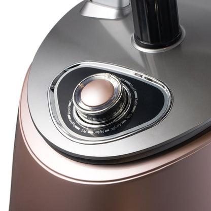 RAF Handheld Vertical Steam Ironing Machine 5