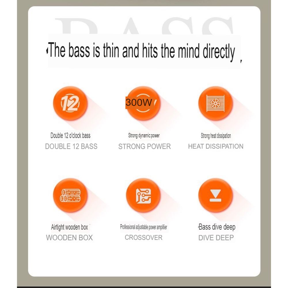 Sansui SP4-15 12-inch Heavy Bass Active Subwoofer Speaker 3