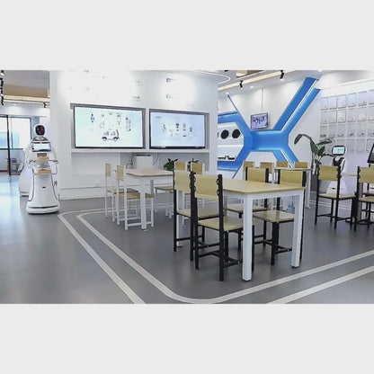 CSJ Humanoid Service Robot