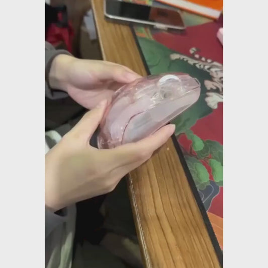 Wolf Spider SC518 RGB Wireless Transparent Gaming Mouse