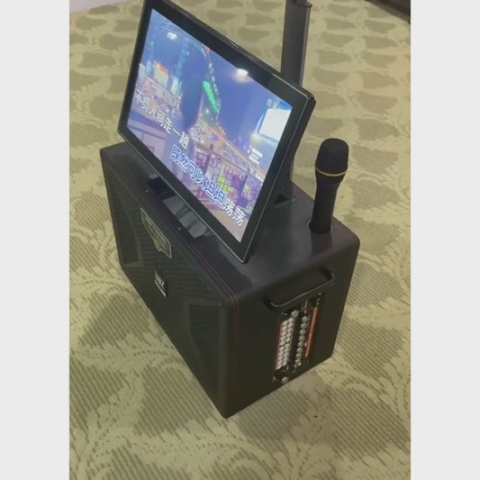 Outdoor Karaoke KTV All-in-One Speaker with Mic