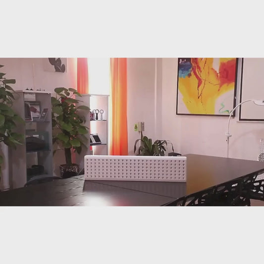 RTL300 LED Red Light Therapy Panel