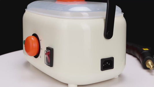 LC-06 2500W Combined Steam Cleaner