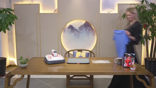 P1210 Handheld Printing and Ironing Machine