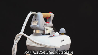 RAF 2000W High Power Steam Iron Machine