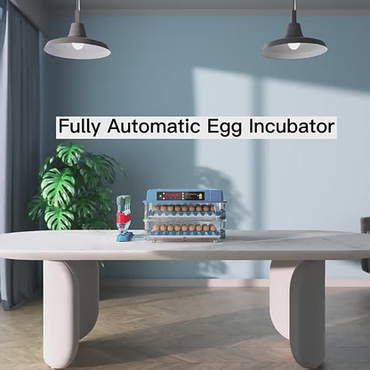 500 Capacity Egg Incubator